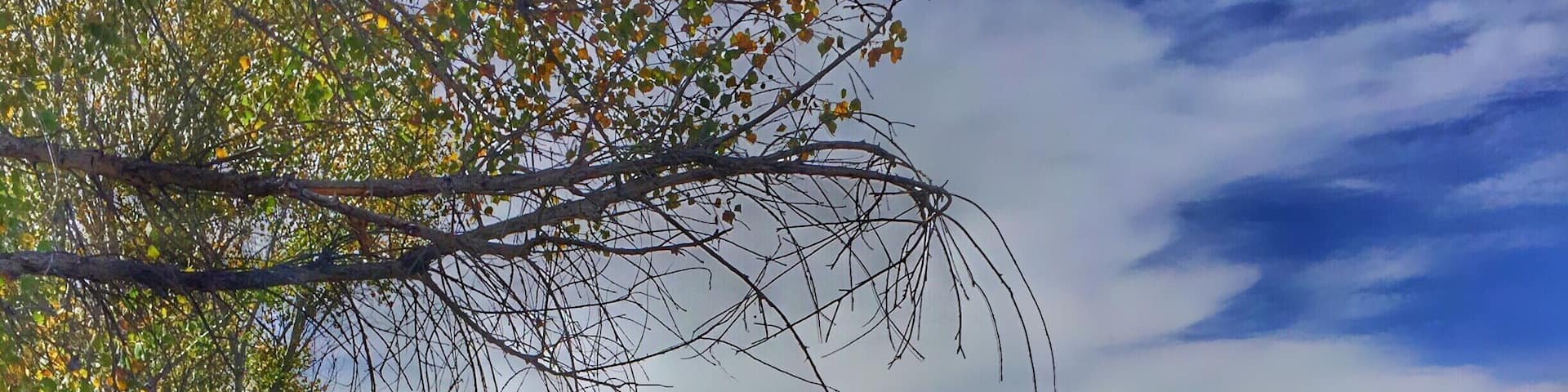 While everyone speeds past Cottonwood to get to Sedona, Dead Horse State Park is a jewel of a State Park with great trails, hiking along the soothing Verde River and great views.
#arizona #statepark #lake #river #hiking #camping #fishing #verderiver #cottonwood