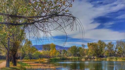 While everyone speeds past Cottonwood to get to Sedona, Dead Horse State Park is a jewel of a State Park with great trails, hiking along the soothing Verde River and great views.
#arizona #statepark #lake #river #hiking #camping #fishing #verderiver #cottonwood