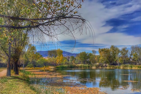 While everyone speeds past Cottonwood to get to Sedona, Dead Horse State Park is a jewel of a State Park with great trails, hiking along the soothing Verde River and great views.
#arizona #statepark #lake #river #hiking #camping #fishing #verderiver #cottonwood
