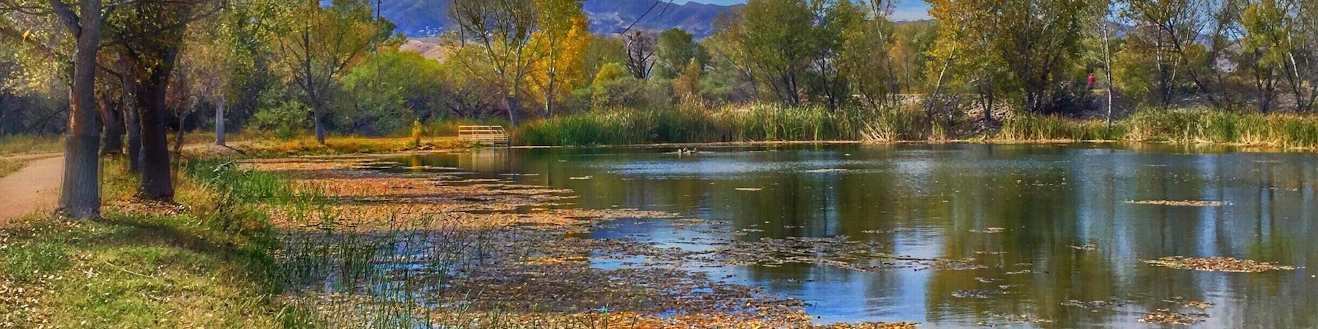 While everyone speeds past Cottonwood to get to Sedona, Dead Horse State Park is a jewel of a State Park with great trails, hiking along the soothing Verde River and great views.
#arizona #statepark #lake #river #hiking #camping #fishing #verderiver #cottonwood
