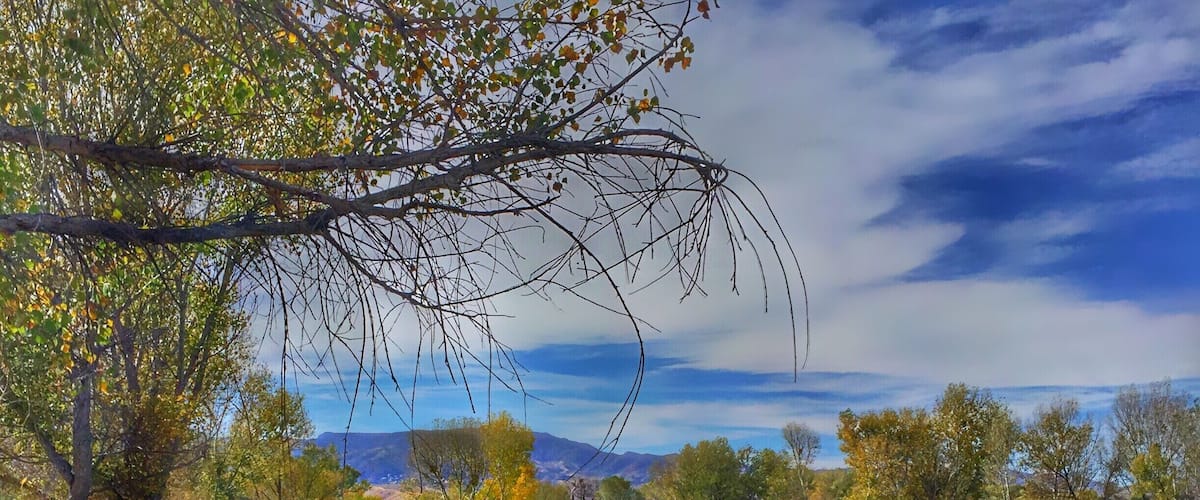 While everyone speeds past Cottonwood to get to Sedona, Dead Horse State Park is a jewel of a State Park with great trails, hiking along the soothing Verde River and great views.
#arizona #statepark #lake #river #hiking #camping #fishing #verderiver #cottonwood