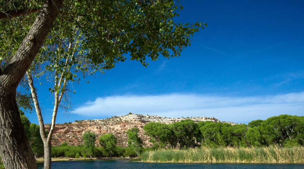 Cottonwood