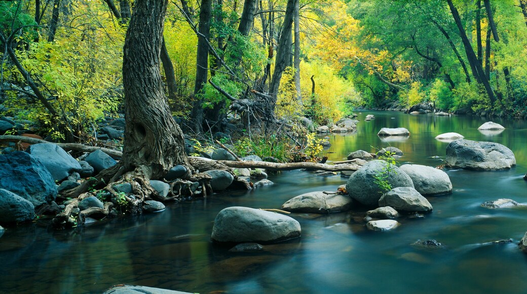 Stream in Cottonwood Canyon, Sedona, Arizona