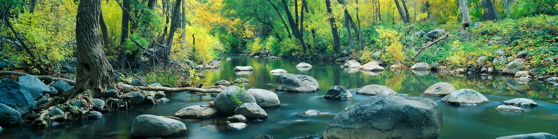 Cottonwood Hotel Guide