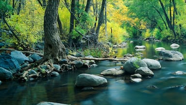 Stream in Cottonwood Canyon, Sedona, Arizona