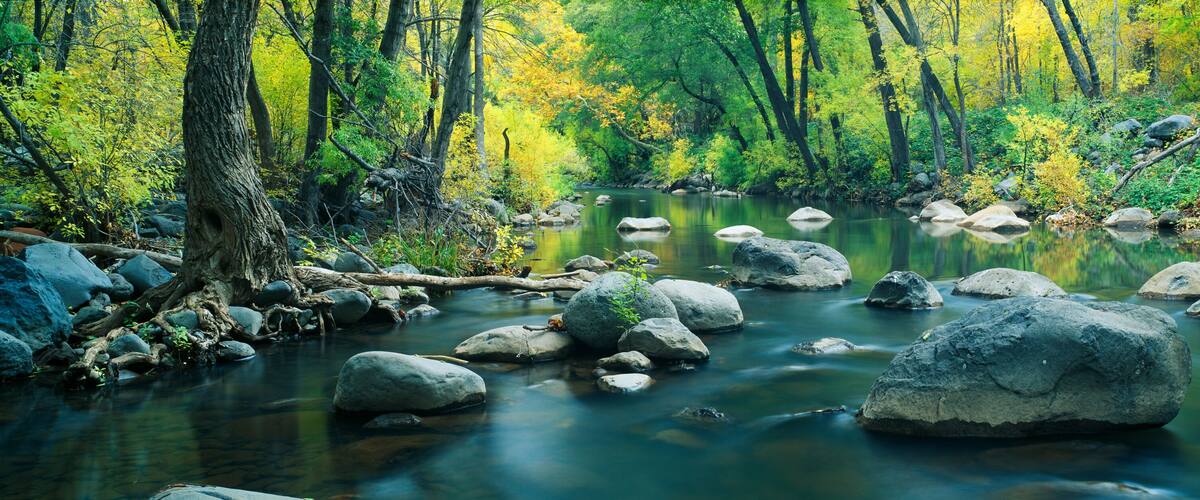 A river with large rocks, surrounded by trees with yellow leaves.