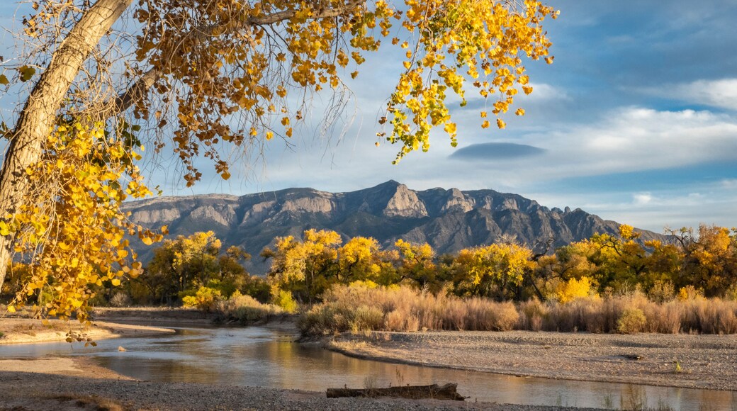 Autumn Along the River with Mountain Background