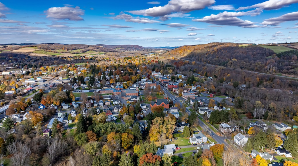 Aerial photo of fall foliage surrounding the Village of Homer, Cortland County, New York State, October 2024.