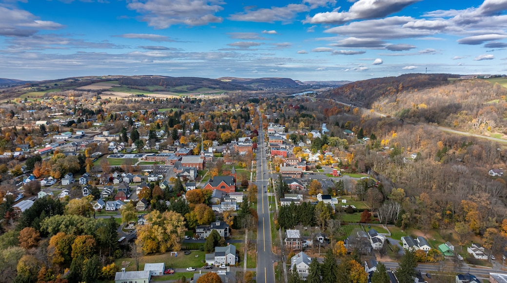 Aerial photo of fall foliage surrounding the Village of Homer, Cortland County, New York State, October 2024.