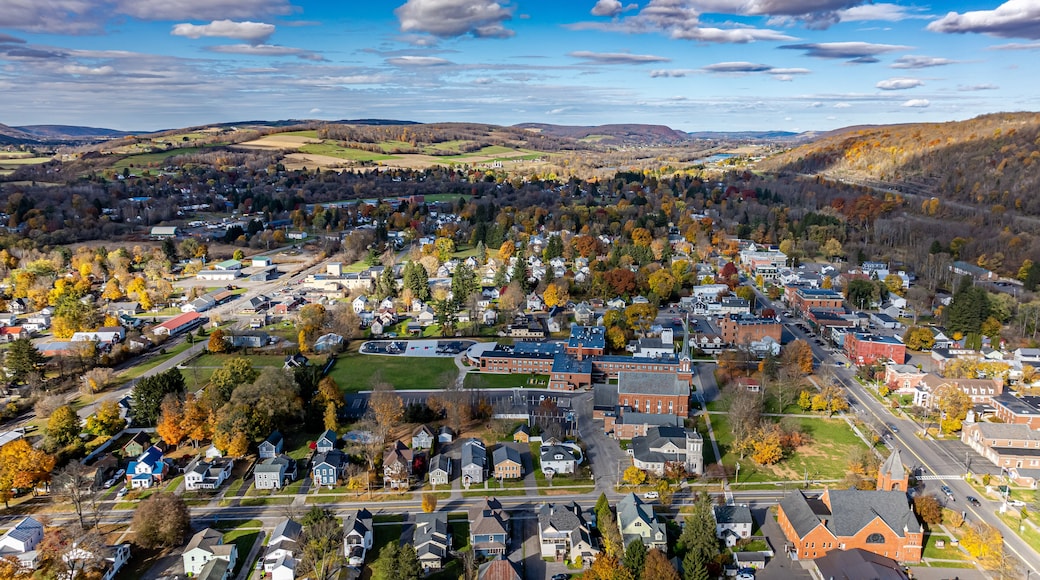 Aerial photo of fall foliage surrounding the Village of Homer, Cortland County, New York State, October 2024.