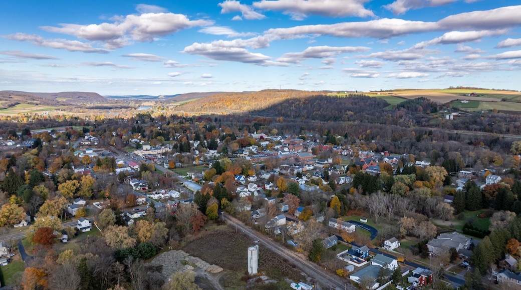 Aerial photo of fall foliage surrounding the Village of Homer, Cortland County, New York State, October 2024.