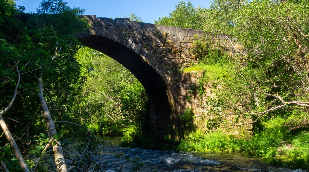 Pedre medieval bridge from the 14th century. Cerdedo-Cotobade, Galicia, Spain.