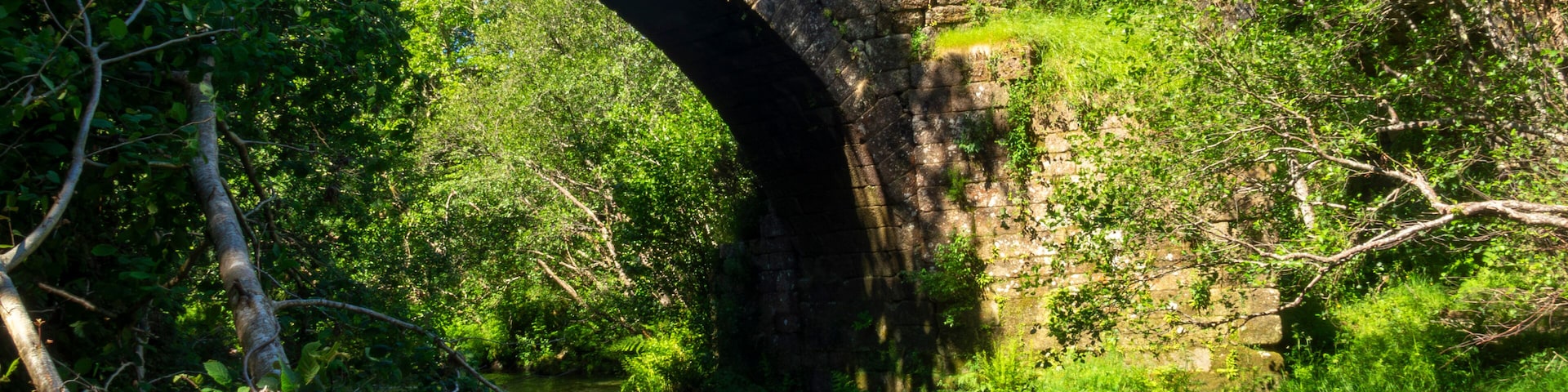 Pedre medieval bridge from the 14th century. Cerdedo-Cotobade, Galicia, Spain.