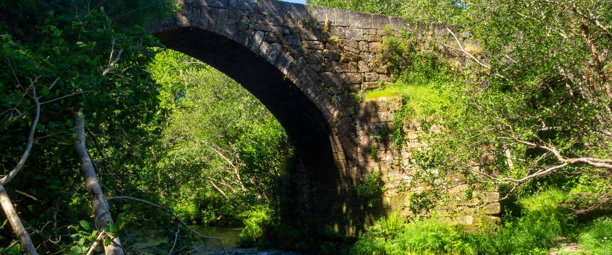 A stone bridge over a flowing river surrounded by lush greenery.