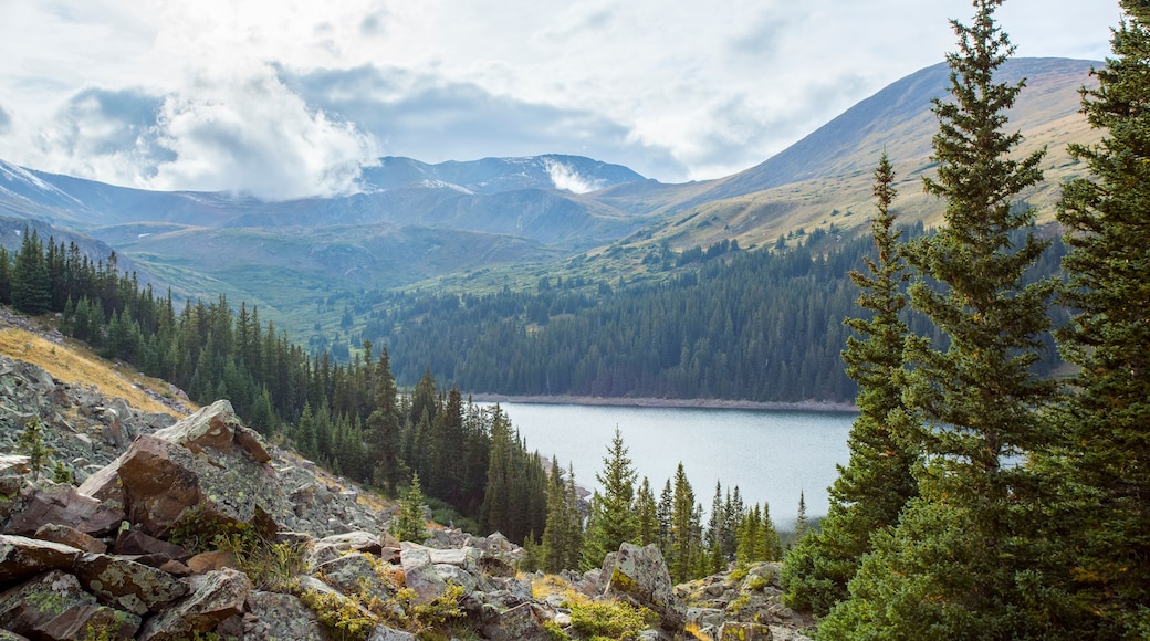 Colorado Mountainscape