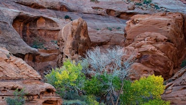 Beautiful place for a picnic and a hike.