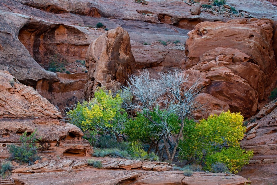 Beautiful place for a picnic and a hike.