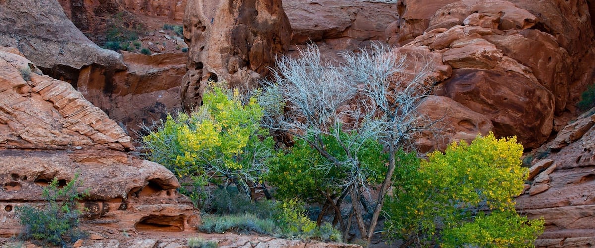 A rocky landscape with prominent red rock formations and green vegetation.