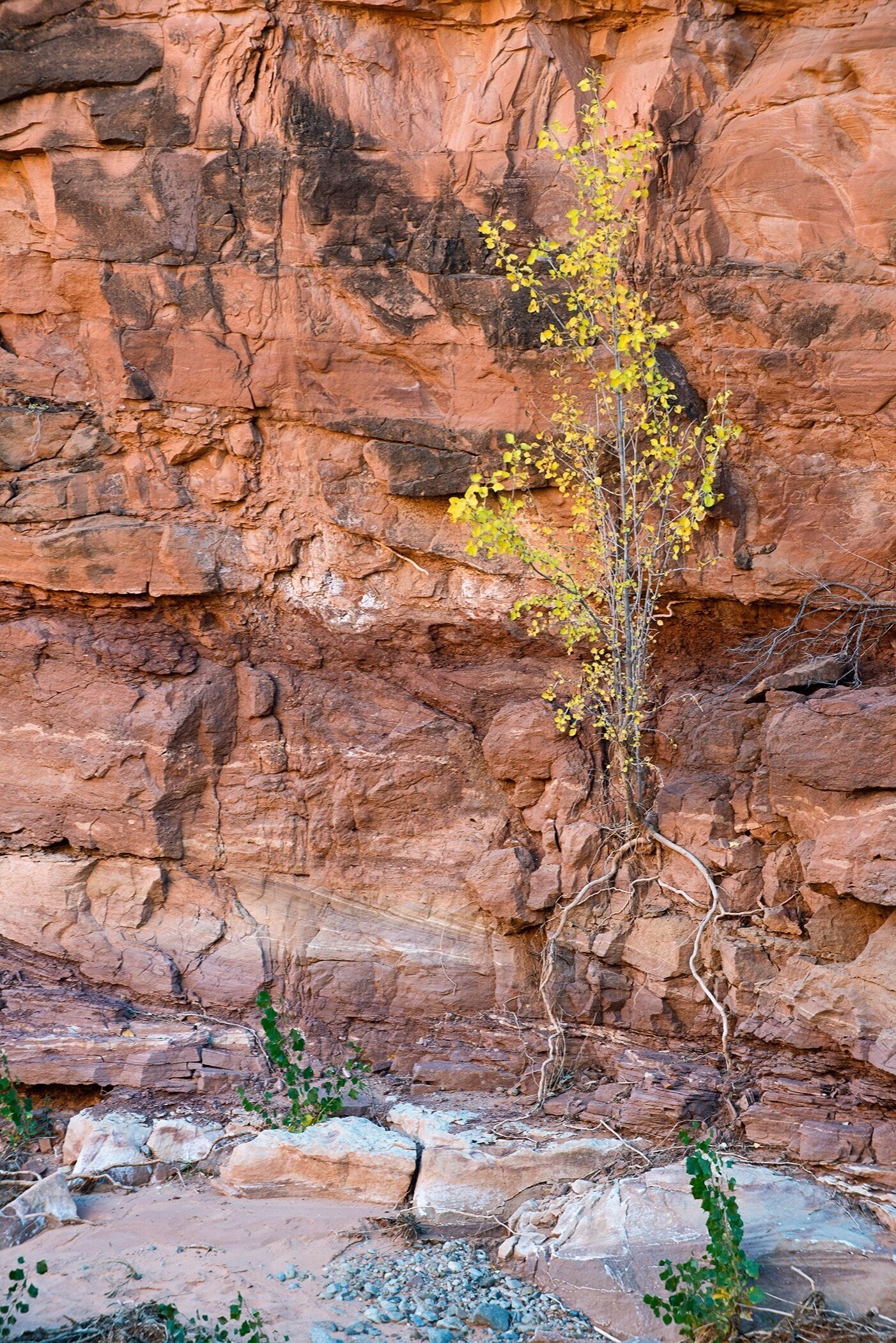 Beautiful short hike. 