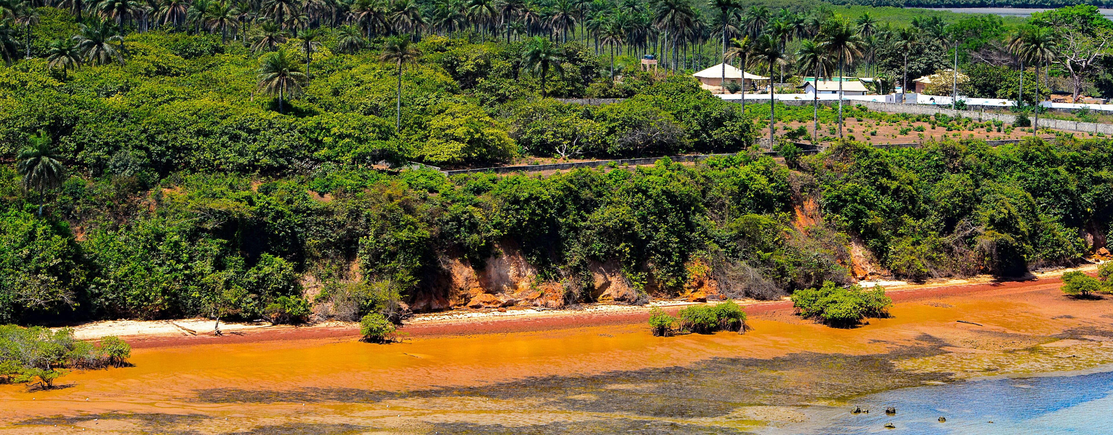 A coastal area with a reddish-brown beach, dense green vegetation, and a white building in the background.