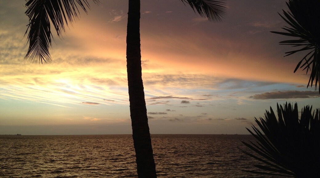 เอสตัวเอร์