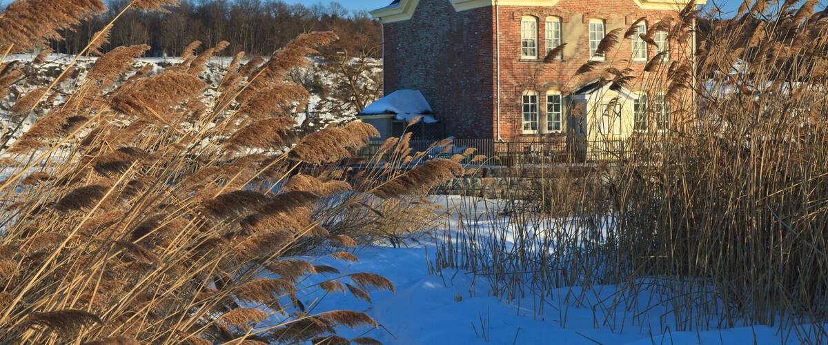 DPD1WT Windswept sea oats front the snow clad Saugerties Lighthouse on the frozen Hudson River in Upstate New York