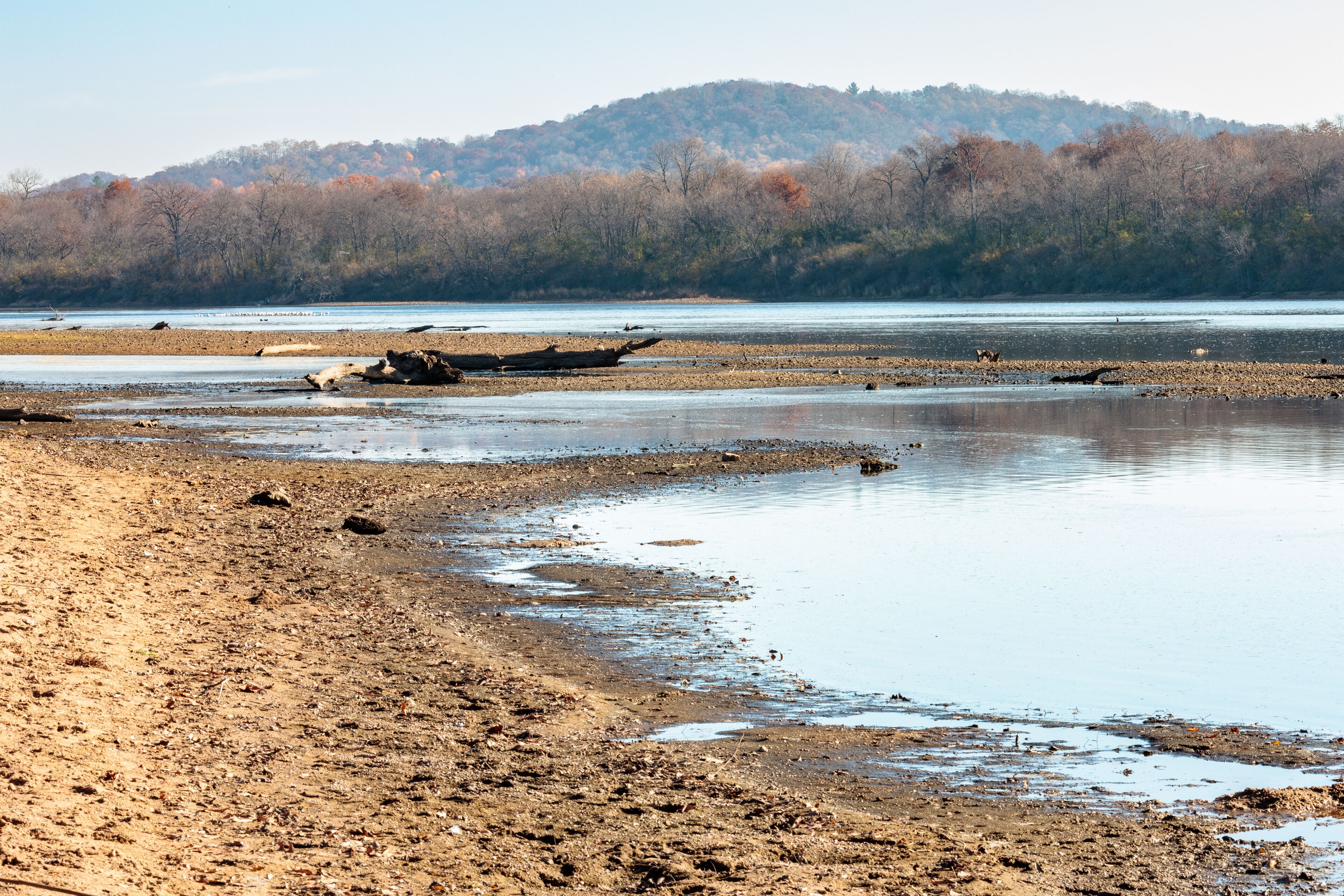 Looking upriver on the Wiscnsin River from the Sauk-Prairie canoe launch south of Sauk City, Wisconsin in autumn, with the water levcel quite low