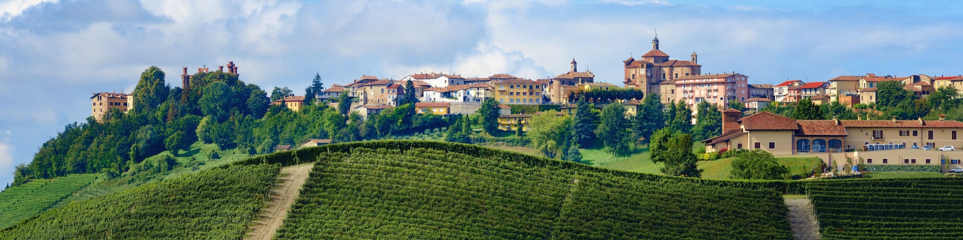 A hillside town with terraced vineyards and historic buildings.