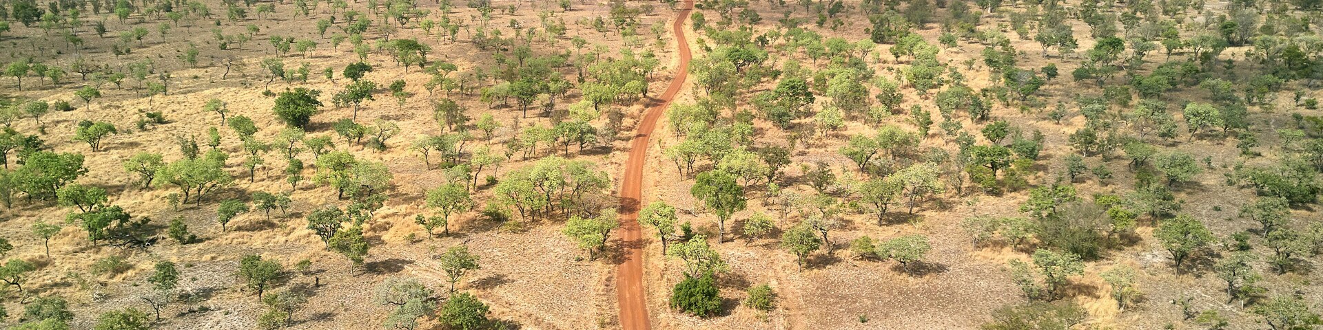 Benin, Aerial view of 4x4 car driving along dirt road in Pendjari National Park