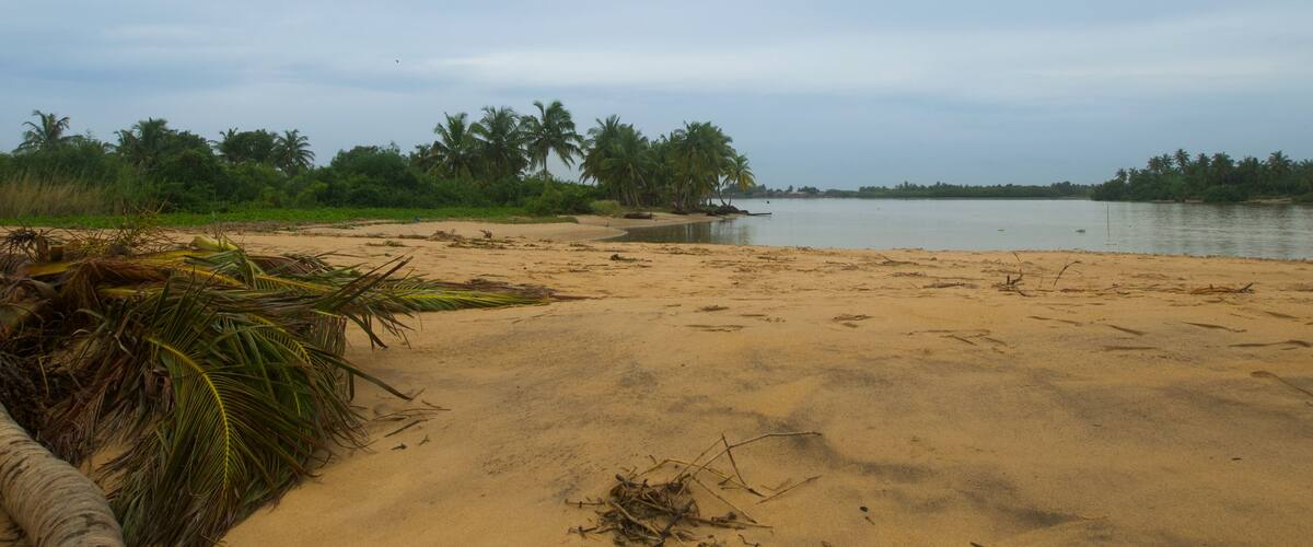 Beautiful view of the Mona River