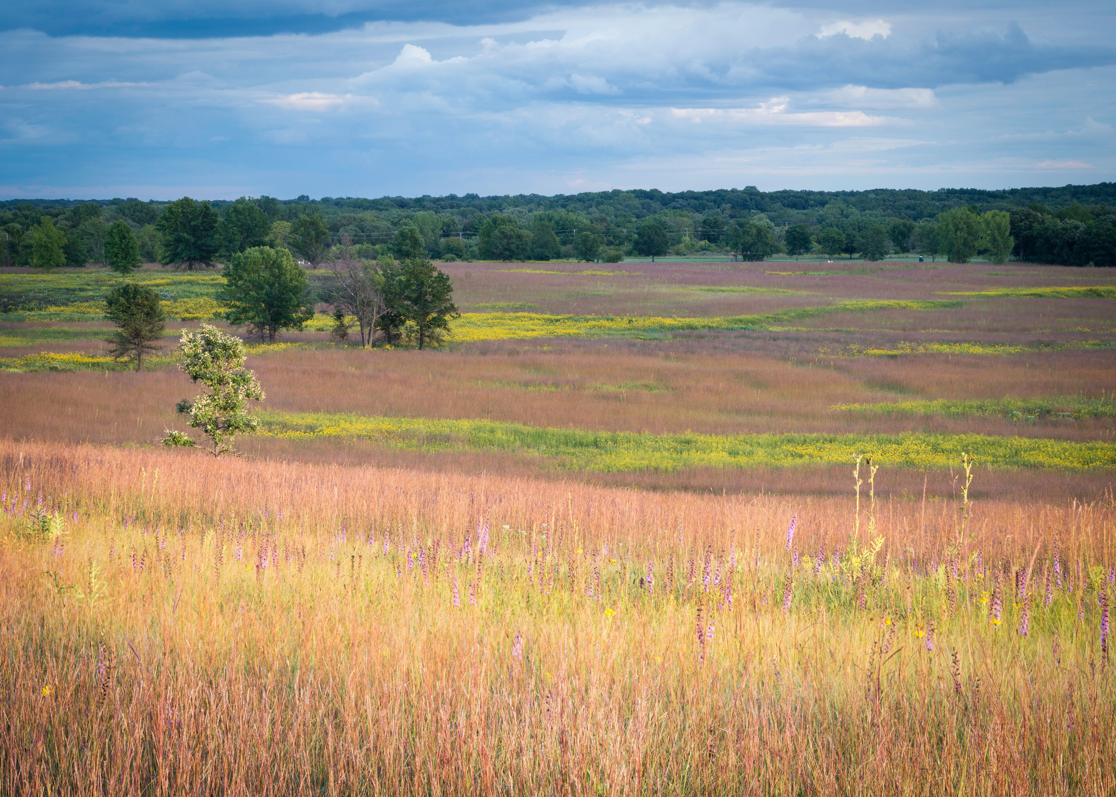 Sunset light washes over a prairie landscape of autumn hues.