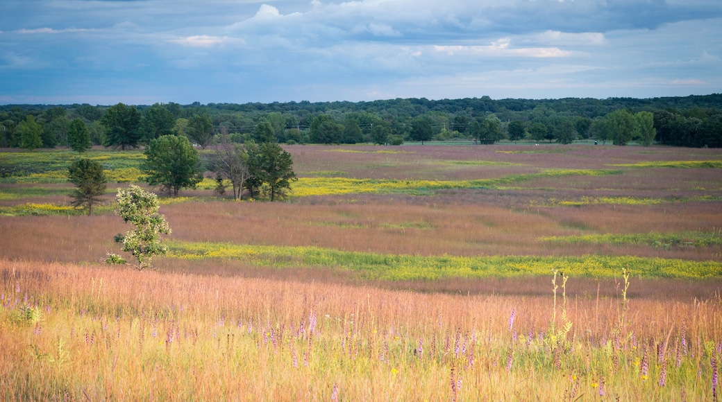Sunset light washes over a prairie landscape of autumn hues.