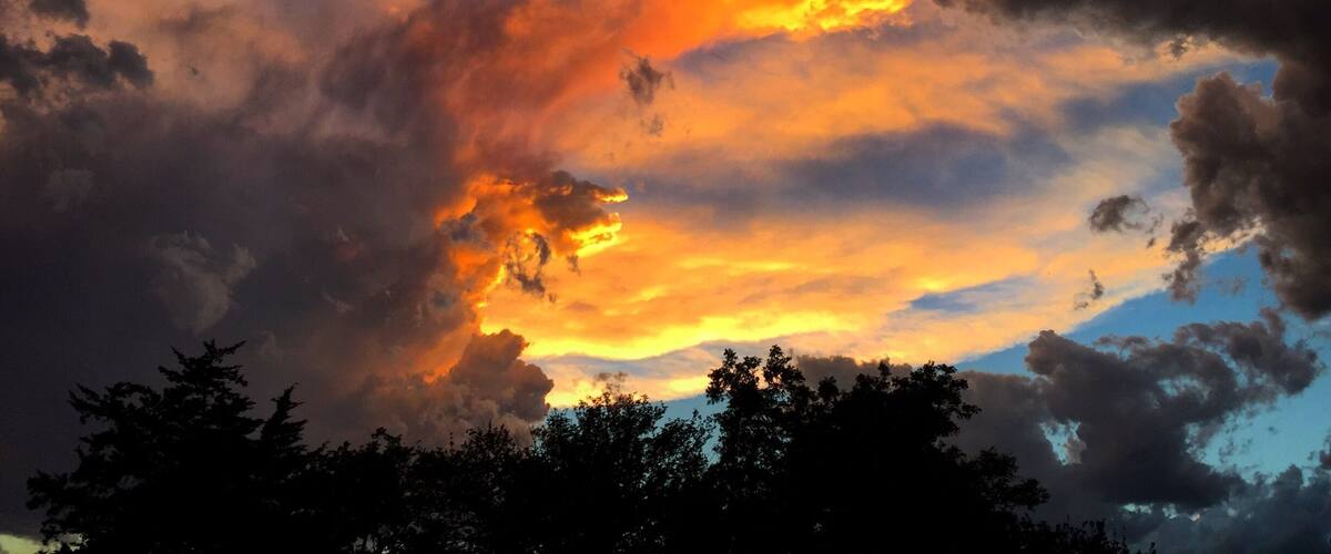 A sunset with orange and yellow clouds, silhouettes of trees, and a blue sky.