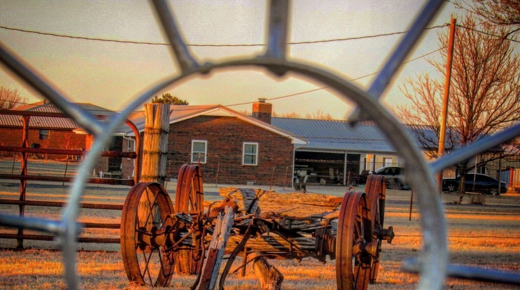 Sayre