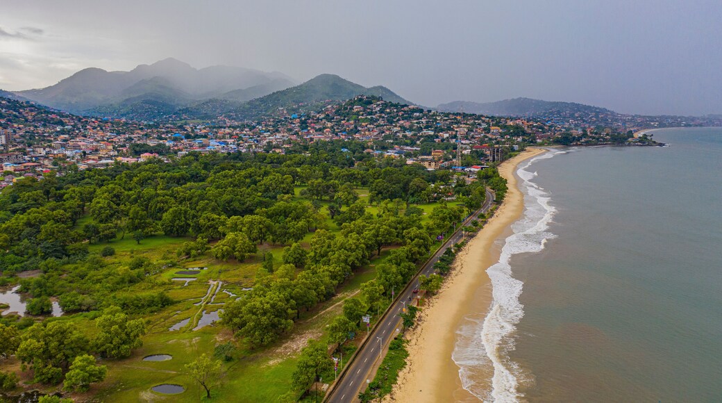 Aerial view of a beautiful sandy beach with tranquil waves and lush greenery, Freetown, Sierra Leone.