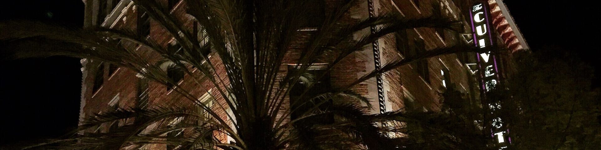 The Culver Hotel's lobby bar is a great atmosphere to grab a drink and snacks with friends and listen to live music. #LoveMyTown