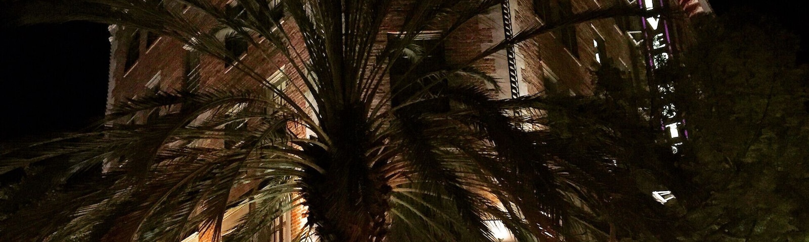 The Culver Hotel's lobby bar is a great atmosphere to grab a drink and snacks with friends and listen to live music. #LoveMyTown