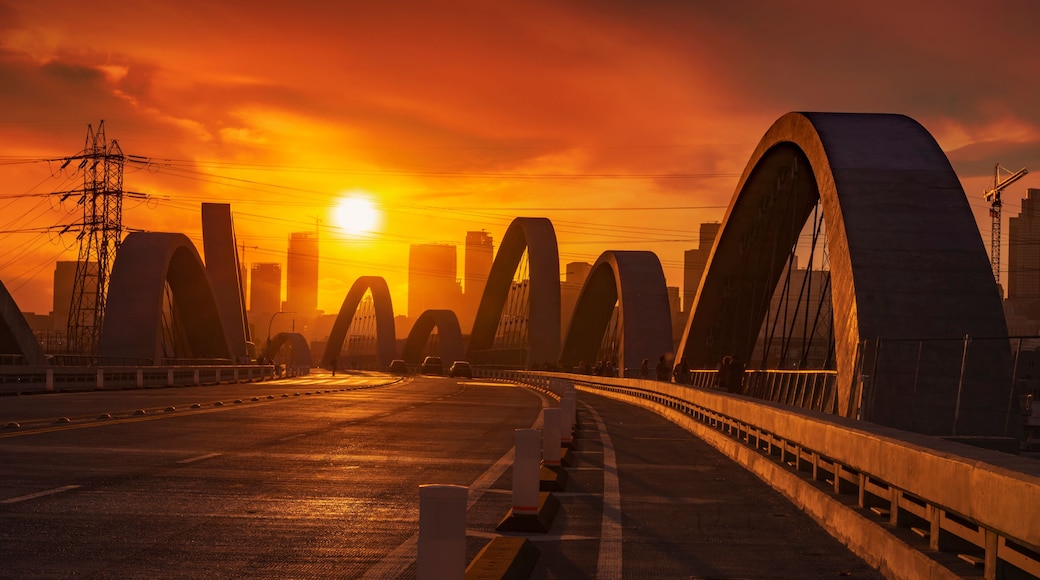 The 6th Street Bridge in Los Angeles CA