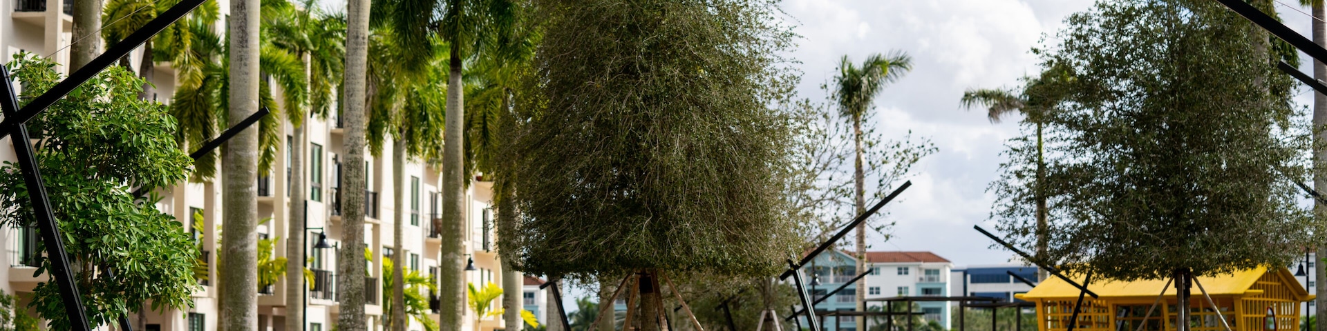 Park space Downtown Doral Miami Florida USA