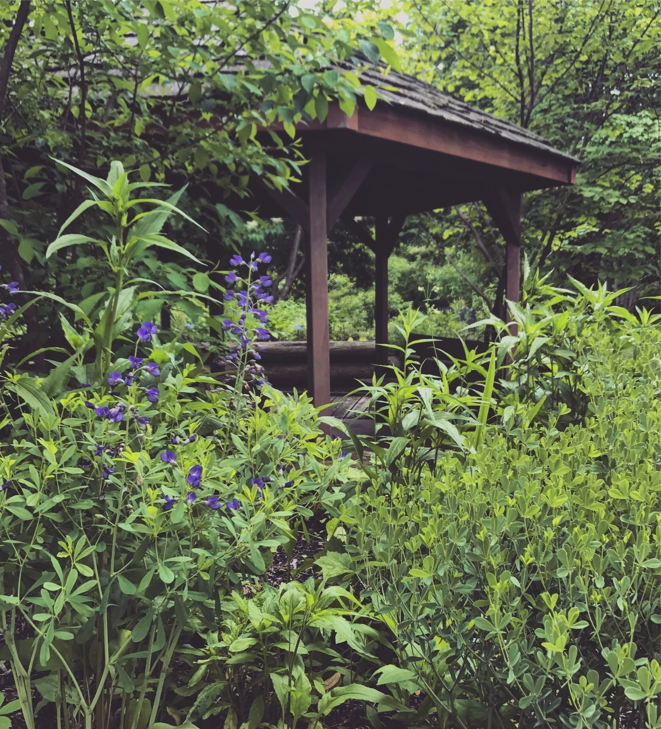 Great place to hike, learn, adventure. Many different trails to take and creatures to see.