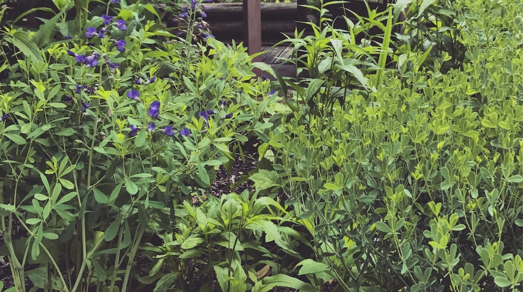 Great place to hike, learn, adventure. Many different trails to take and creatures to see.