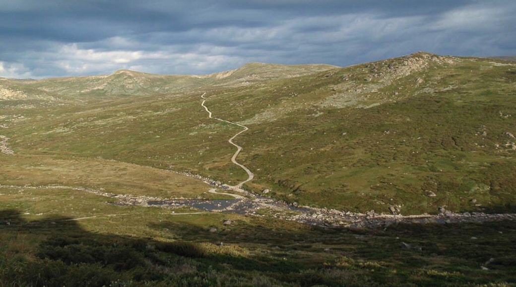 On Australian Day 2012 I walked the Main Range Track in Mt Kosciuszko National Park with friends. Its a loop track from Charlotte Pass to Mt Kosciuszko return. It was the most perfect day for a 20 kilometre walk and we were treated to some spectacular views. This is the start of the track.