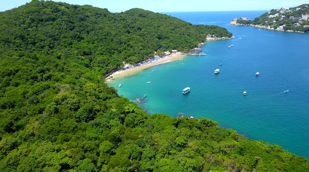 Aerial view of the beach on the island of la roqueta and the vegetation