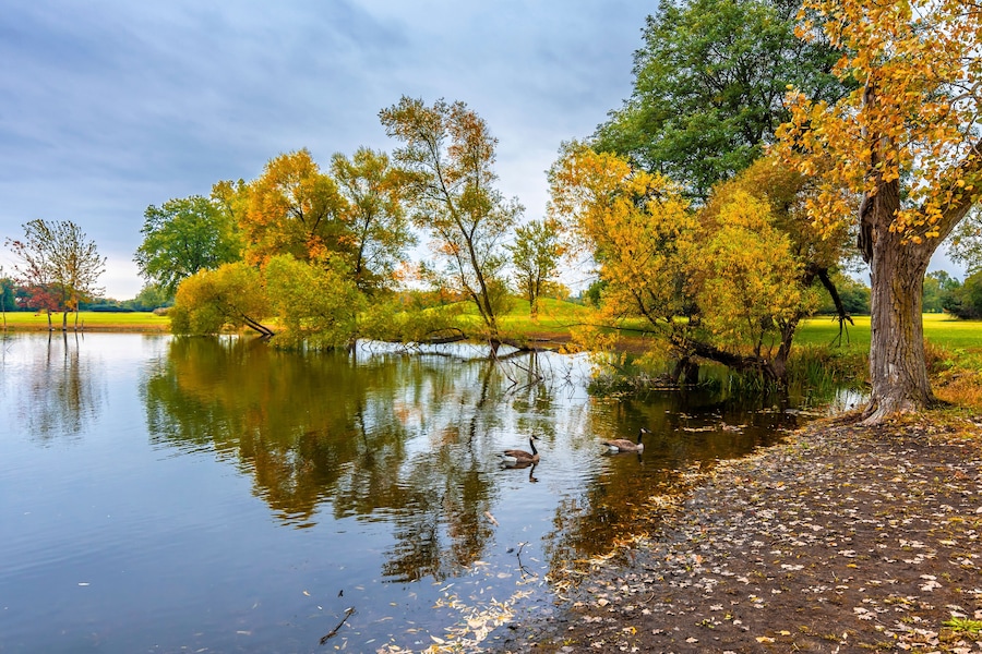 Schiller Woods view in Chicago of Illinois