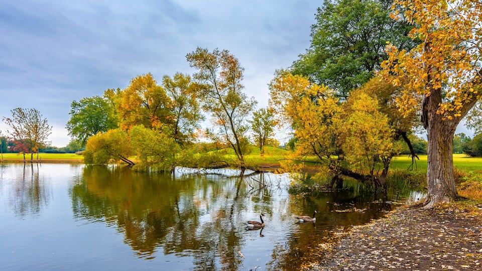 A calm lake surrounded by autumn trees with reflections of the sky and trees.