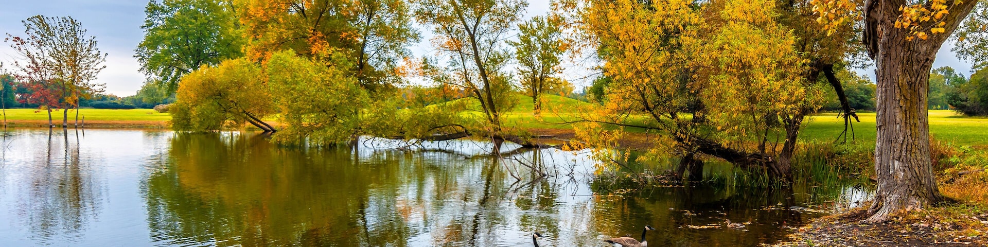 Schiller Woods view in Chicago of Illinois