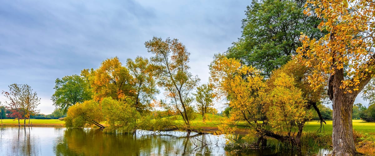 Schiller Woods view in Chicago of Illinois