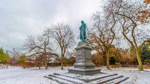 Lincoln Park of Chicago City view in winter