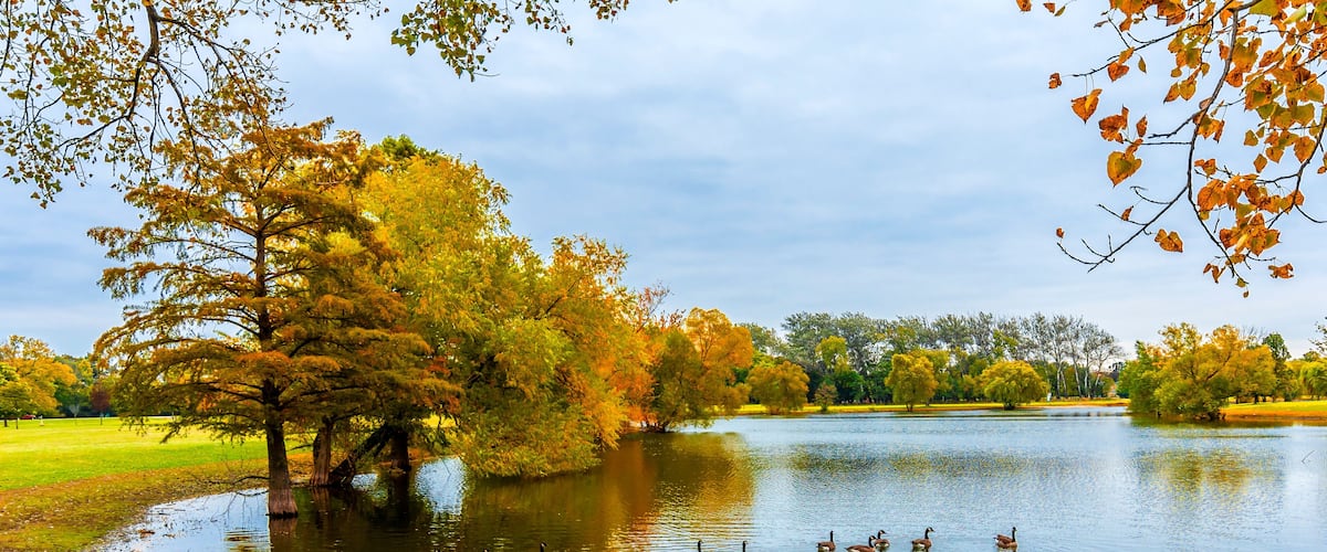 Schiller Woods view in Chicago of Illinois