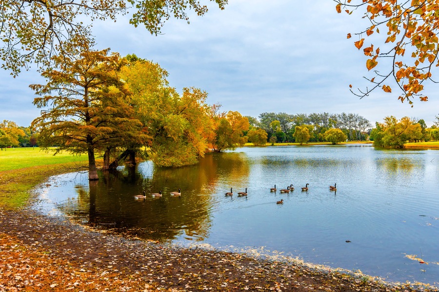 Schiller Woods view in Chicago of Illinois